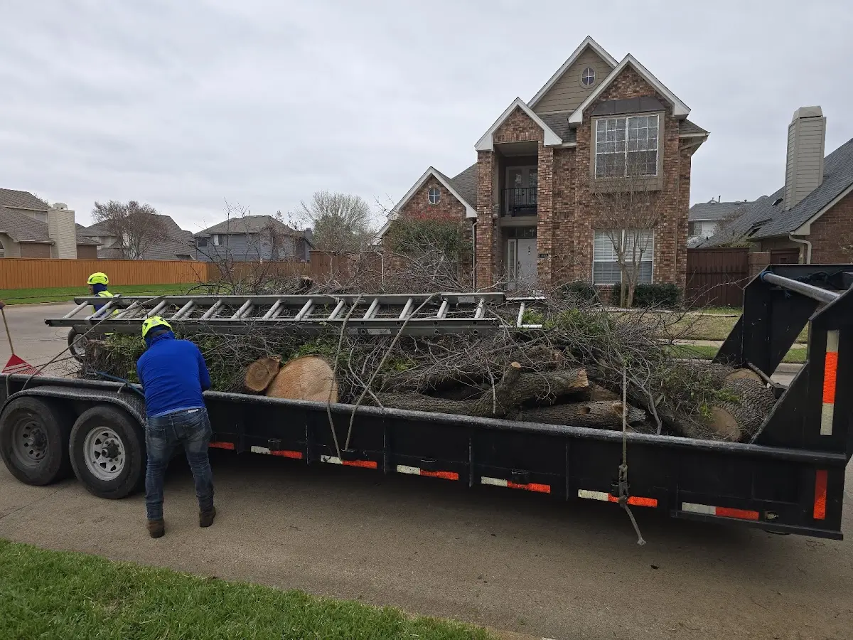 Expert Lot Clearing with proper safety equipment in Adolphus